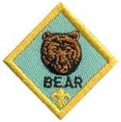 Cub Scout Program Helps November 2010 Vibe